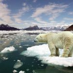 全球变暖或致日本气温21世纪末上升4.5度