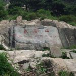 山东省启动2018年度重大政策措施跟踪审计