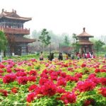 第36届中国洛阳牡丹文化节开幕