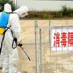 日本发出警报猪瘟可能蔓延
