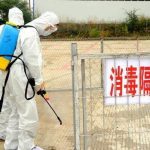 日本发出警报猪瘟可能蔓延