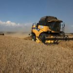 中国农企对进口俄罗斯粮食表示兴趣